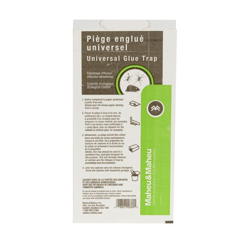 Piège Englué pour Insecte