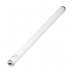 Fluorescent T8, 32watts 48'' 6500k BT/25