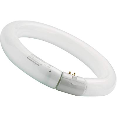 Fluorescent Rond T9, 5000K, 30watts